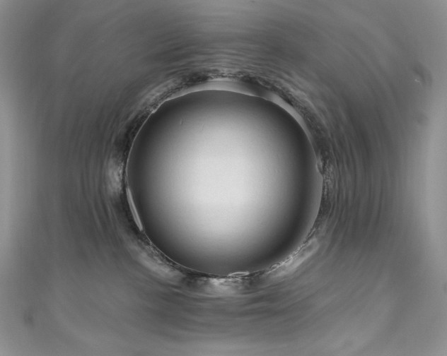 X0000111200188200907011441