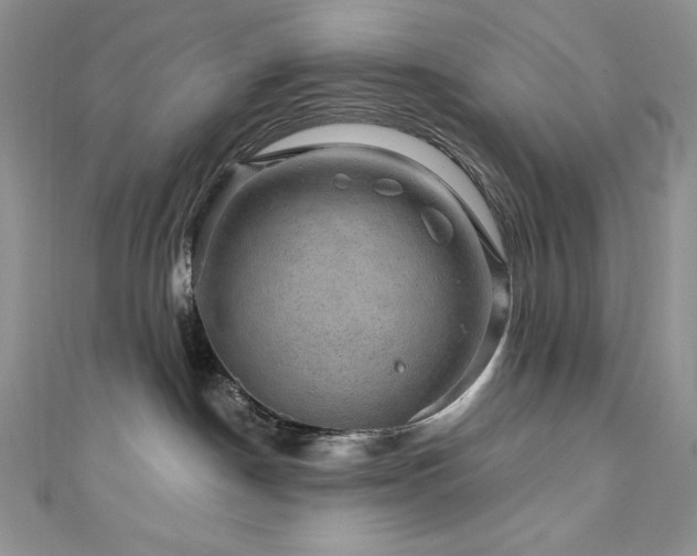 X0000111200190200907011441