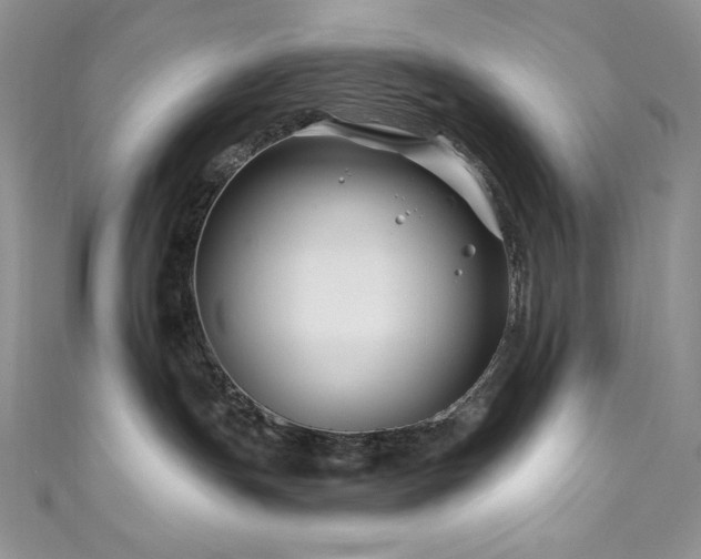 X0000111200191200907011441