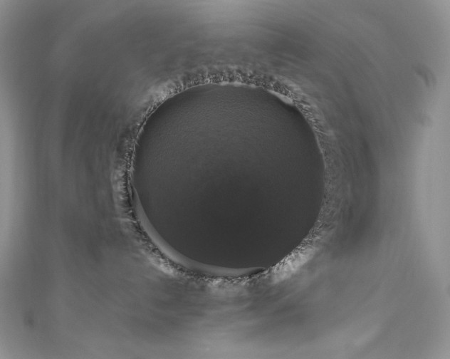 X0000111200192200907011441