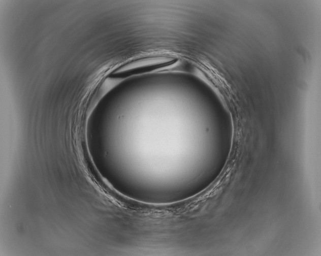 X0000111200193200907011440