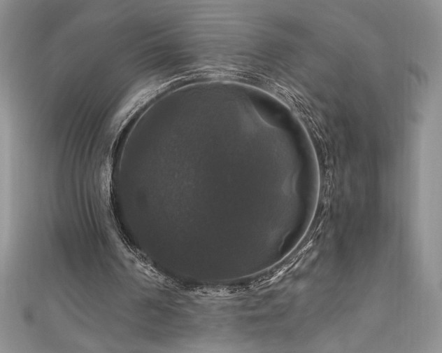 X0000111200194200907011440