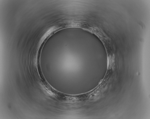 X0000111200195200907011440