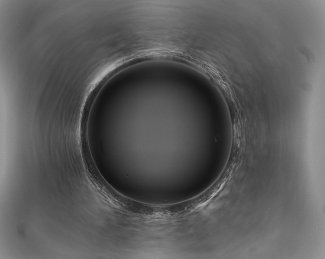 X0000111200196200907011440