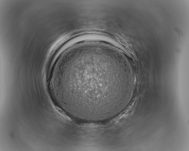 X0000111200197200907011440