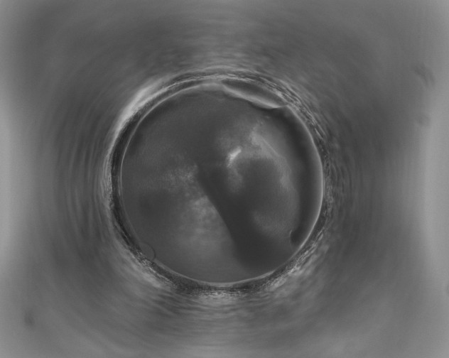 X0000111200198200907011440