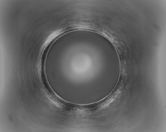 X0000111200199200907011440