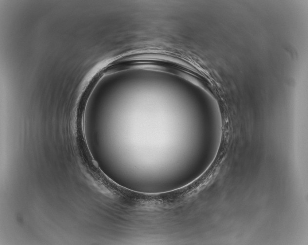 X0000111200200200907011440