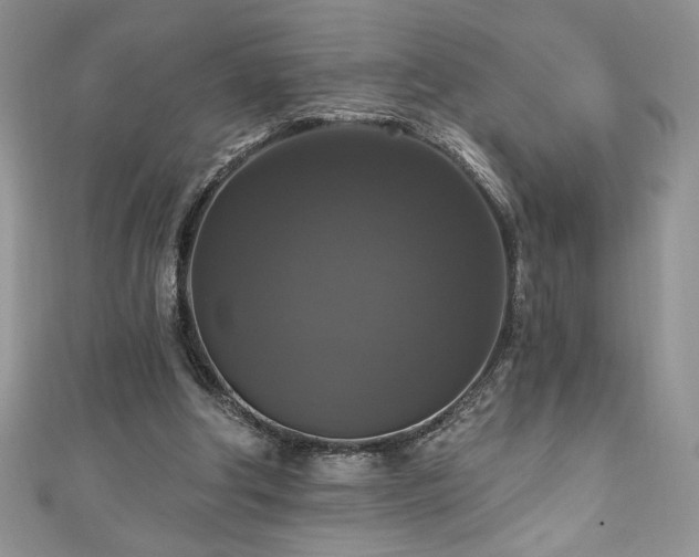 X0000111200202200907011440