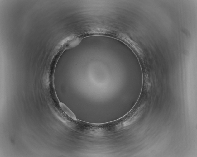 X0000111200203200907011440