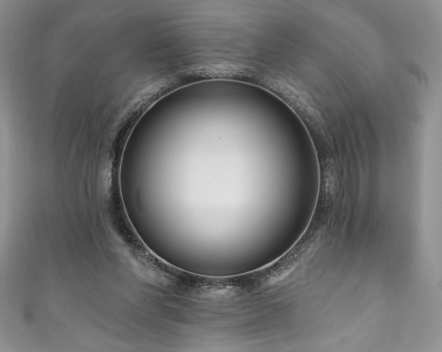 X0000111200206200907011440