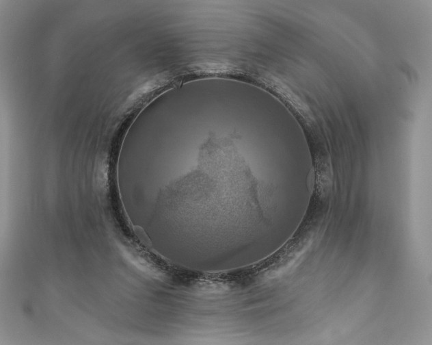 X0000111200207200907011440