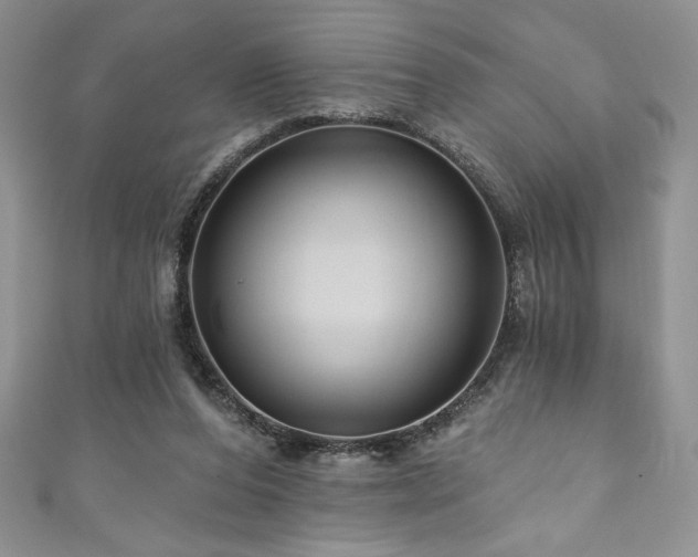 X0000111200208200907011440