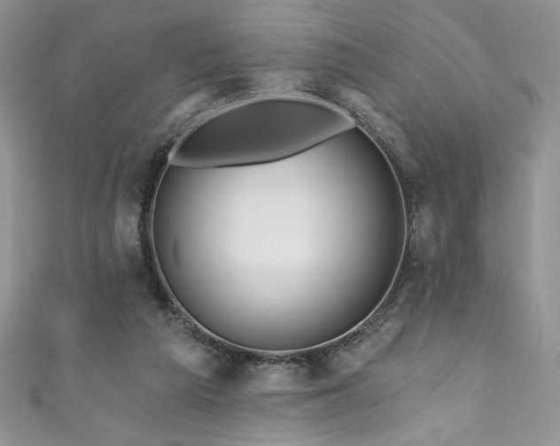 X0000111200209200907011440