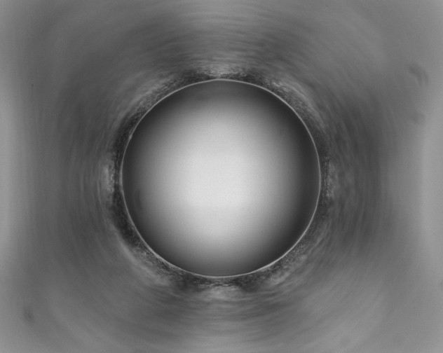 X0000111200210200907011440