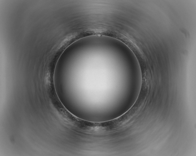 X0000111200212200907011440