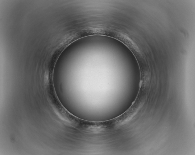 X0000111200213200907011440