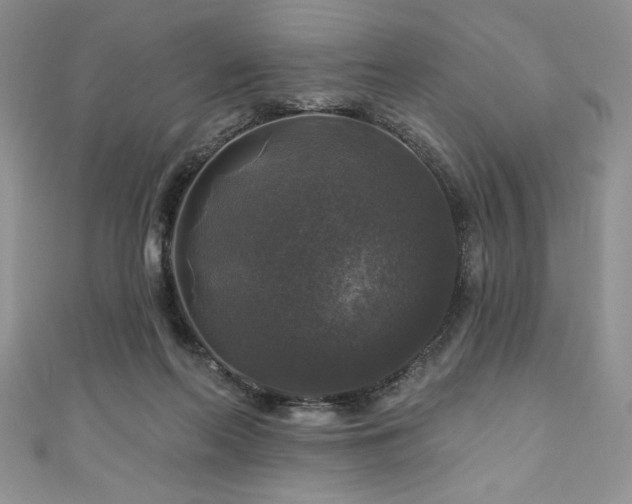 X0000111200214200907011440