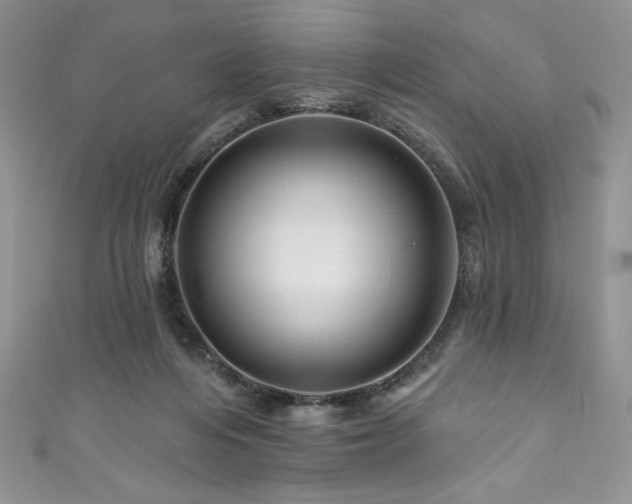 X0000111200216200907011440