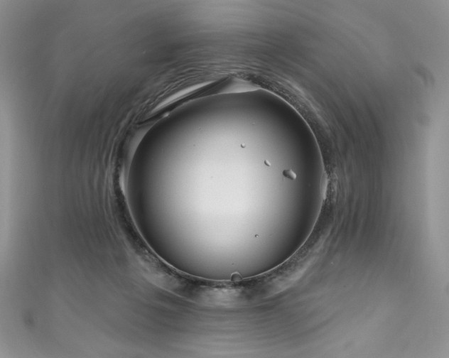 X0000111200217200907011440