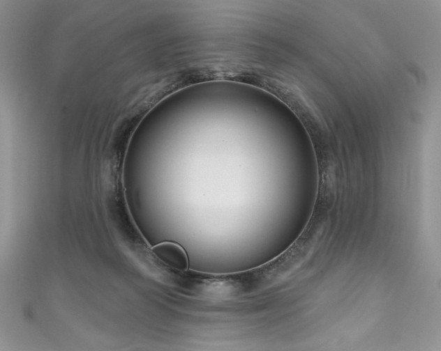 X0000111200218200907011440