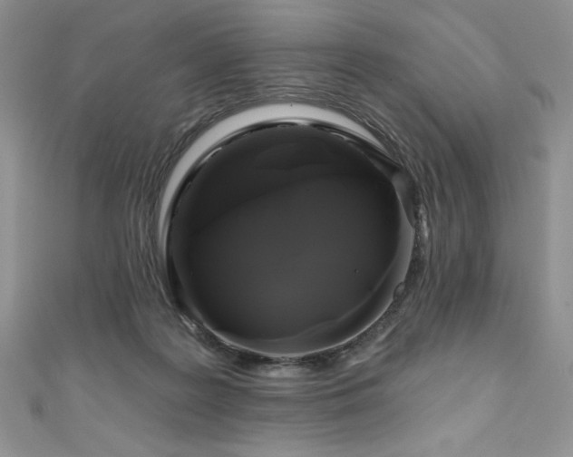 X0000111200219200907011440