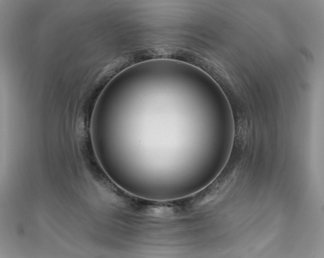 X0000111200220200907011440