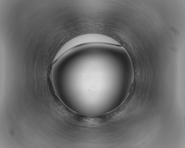 X0000111200221200907011440