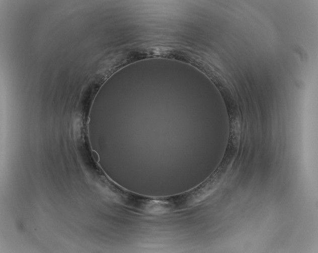 X0000111200222200907011440