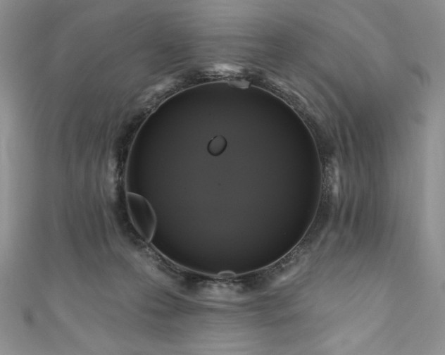 X0000111200223200907011440