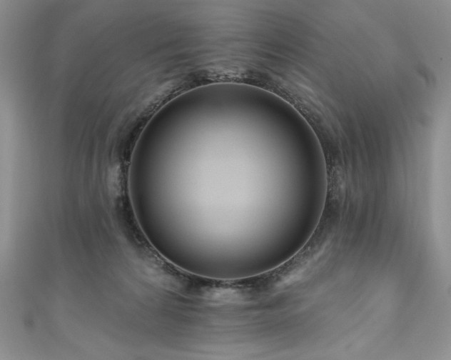 X0000111200224200907011440