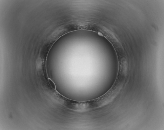 X0000111200225200907011440