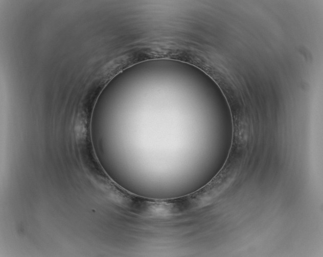 X0000111200226200907011440