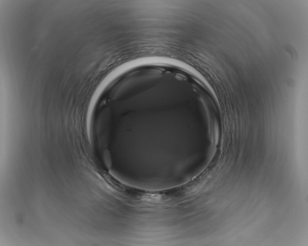 X0000111200227200907011440