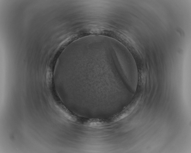 X0000111200228200907011440