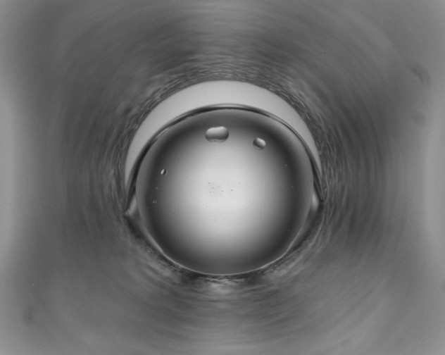 X0000111200229200907011440