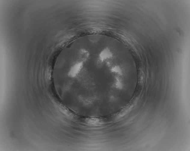 X0000111200230200907011440