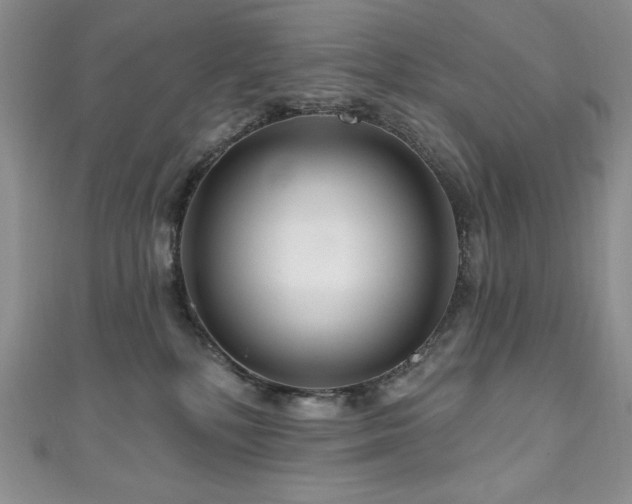 X0000111200232200907011440