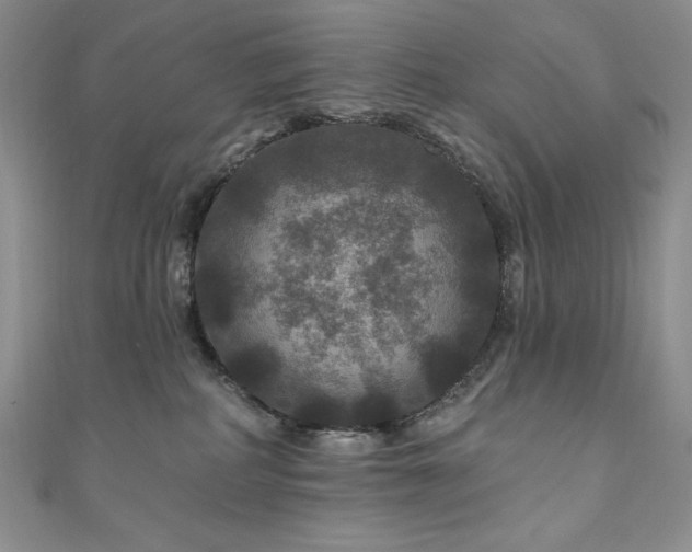 X0000111200234200907011440