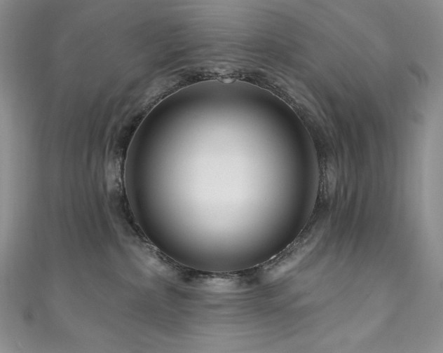 X0000111200236200907011440