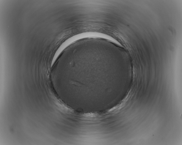 X0000111200237200907011440