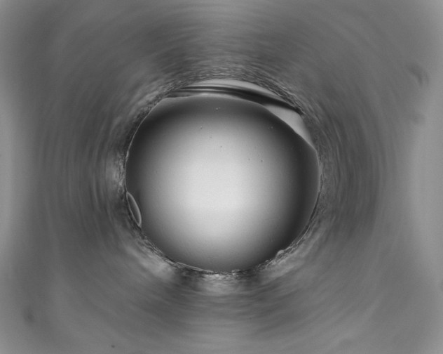 X0000111200240200907011440