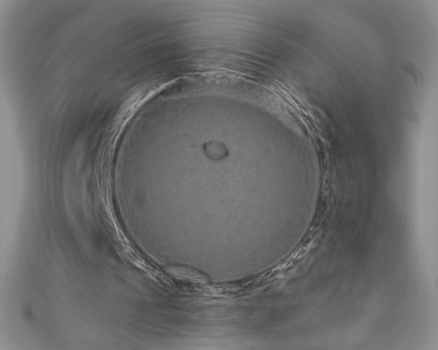 X0000111200241200907011439