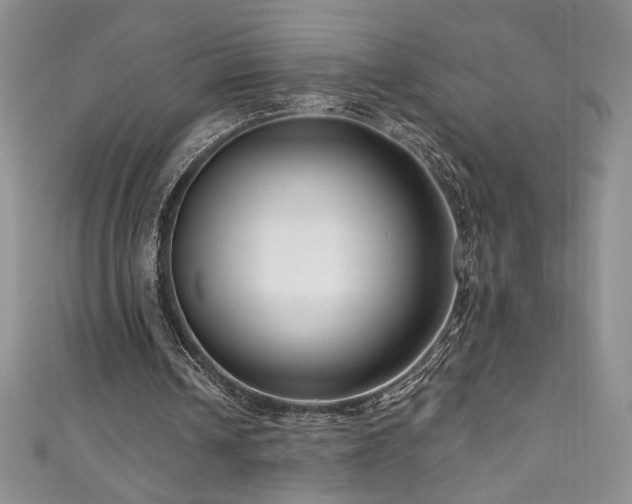 X0000111200242200907011439