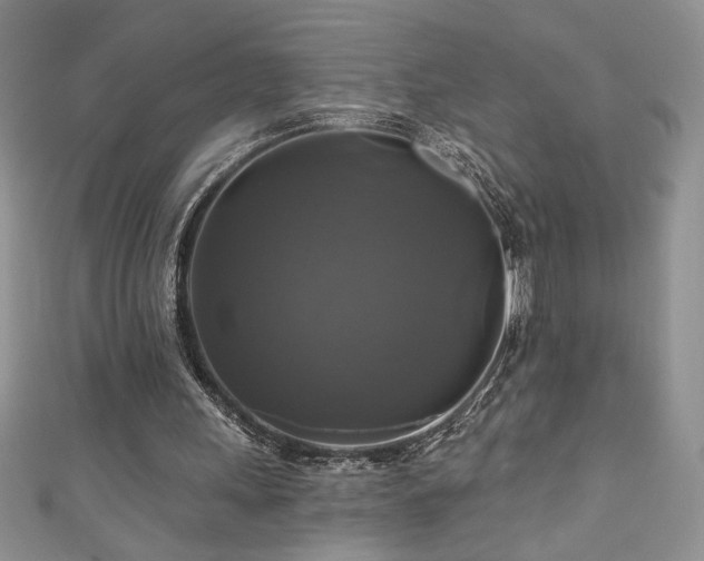 X0000111200243200907011439