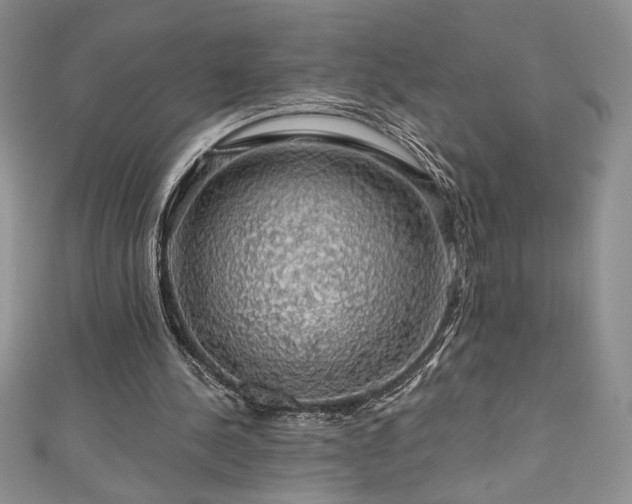 X0000111200244200907011439