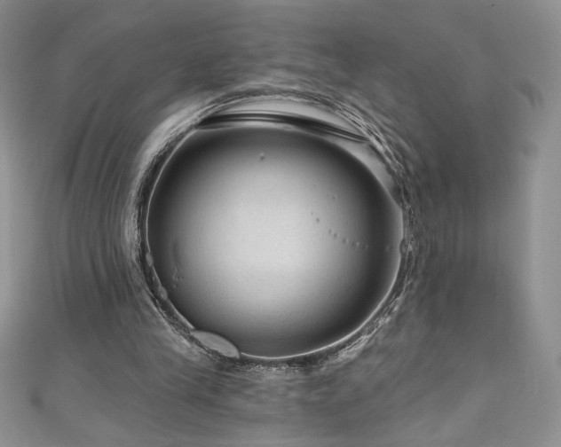 X0000111200245200907011439