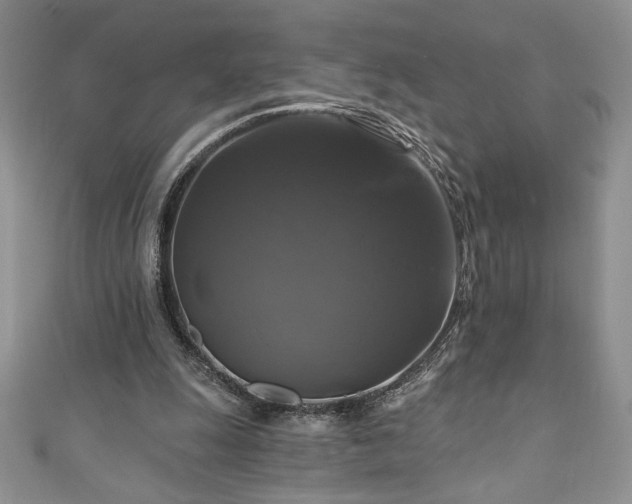 X0000111200247200907011439