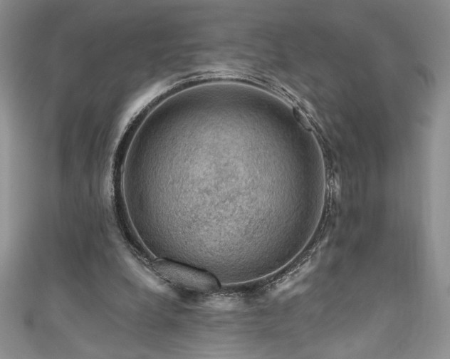 X0000111200248200907011439