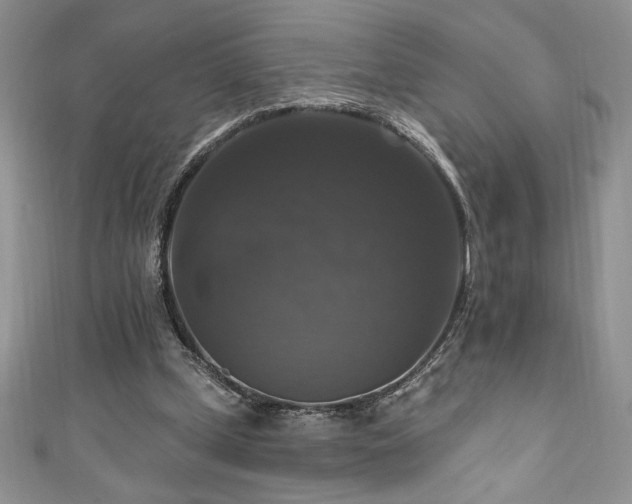 X0000111200249200907011439